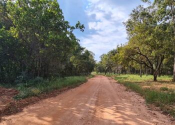 Bonito recebe R$ 1,5 milhão do Governo para restaurar estrada que leva a trilhas e cachoeiras