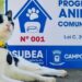 Lançado em 2022, animal comunitário garante proteção a 187 cães e gatos na Capital