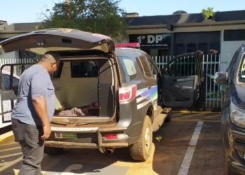 Polícia prende quinto estuprador durante Operação Acalento, desta vez em aldeia