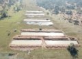 Produtora rural é multada em R$ 25 mil por construir 6 tanques de peixes e causar erosões
