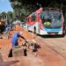Prefeitura da Capital executa recapeamento e remendos nesta segunda-feira