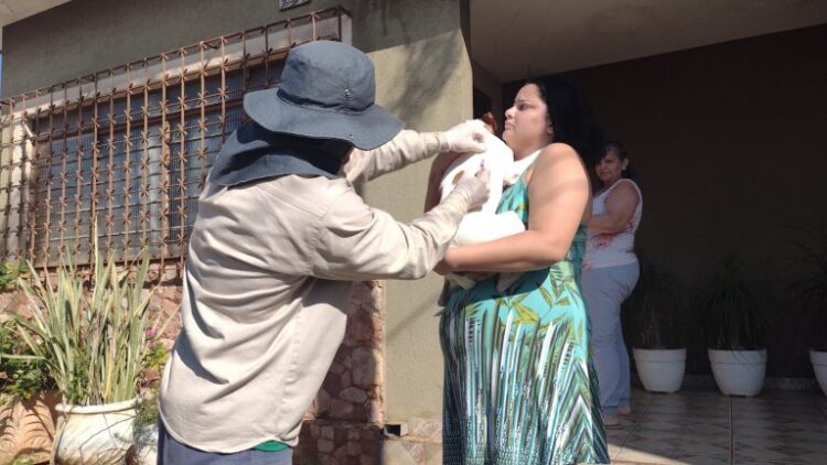 CCZ faz bloqueio contra a Raiva na região central, após caso positivo em morcego