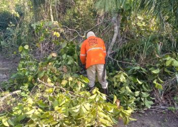 Brigada Alto Pantanal reforça ações de prevenção contra o fogo na Serra do Amolar