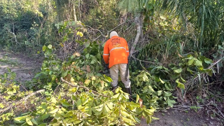 Brigada Alto Pantanal reforça ações de prevenção contra o fogo na Serra do Amolar