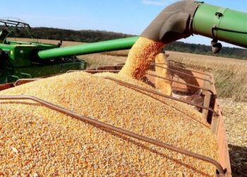 Mais uma vez soja, celulose e carne bovina puxam para cima as exportações de MS