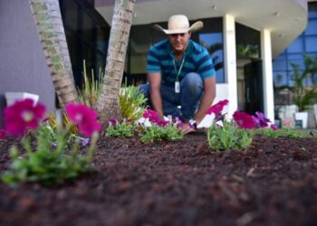 Oficinas do Senar/MS levam conhecimento nas feiras e eventos agropecuários do estado