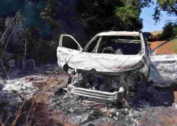 Membros de família de pistoleiros são encontrados mortos na fronteira