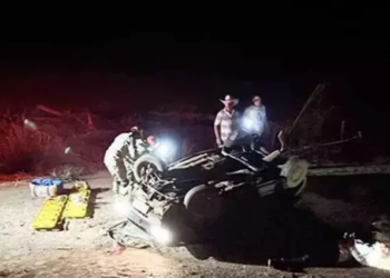 Casal fica em estado grave ao bater Fiat Uno em capivara e capotar na BR-359