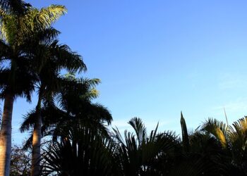 Meteorologia prevê mais um dia seco em MS com desconforto à saúde