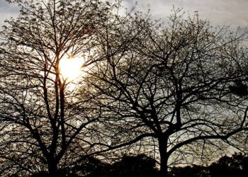 Previsão do tempo: sexta-feira será de ar seco, sol e poucas nuvens no Estado