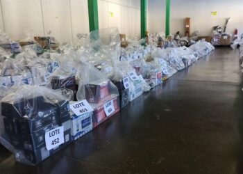 Sefaz-MS realiza leilão on-line com quase mil lotes de produtos