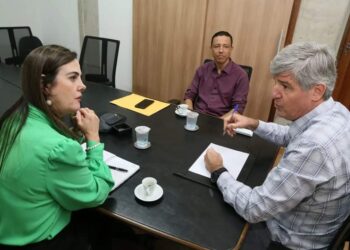 Deputada Mara Caseiro solicita transformadores de energia elétrica à zona rural de Naviraí