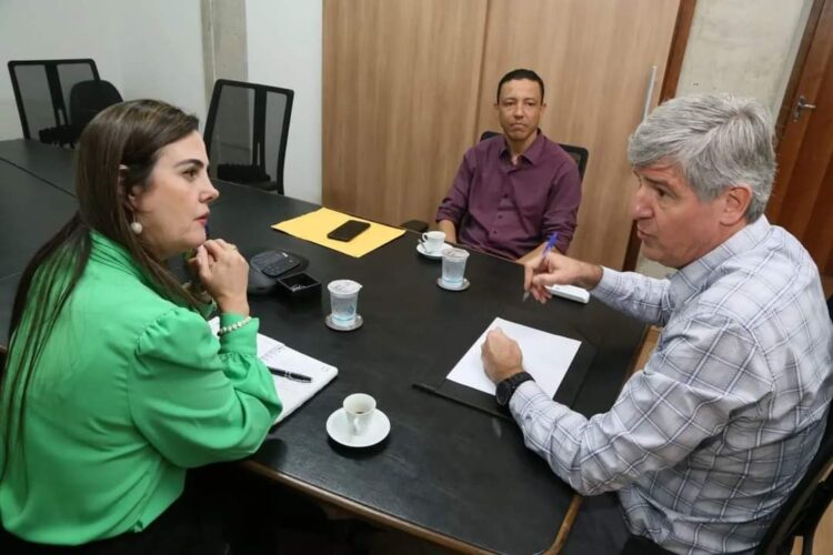 Deputada Mara Caseiro solicita transformadores de energia elétrica à zona rural de Naviraí
