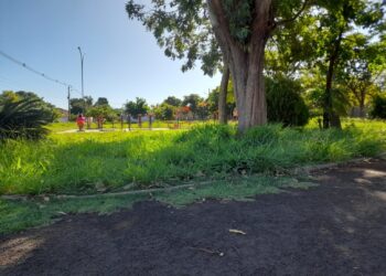 Prefeitura faz limpeza da praça no Jardim Palmira, após pedido do deputado Marcio Fernandes