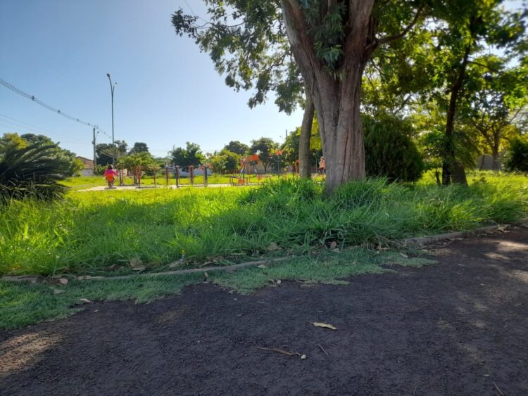 Prefeitura faz limpeza da praça no Jardim Palmira, após pedido do deputado Marcio Fernandes