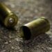 Empresário com certificado de arma mata ladrão que invadiu sua hamburgueria na Capital