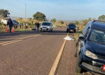 Motociclista ainda não identificada morre ao colidir com anta na MS-080