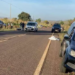Motociclista ainda não identificada morre ao colidir com anta na MS-080