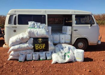 Kombi com R$ 940 mil em defensivos agrícolas vindos do Paraguai é apreendida pelo DOF