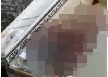 Corpo de idoso é encontrado em cima de geladeira em avançado estado de decomposição