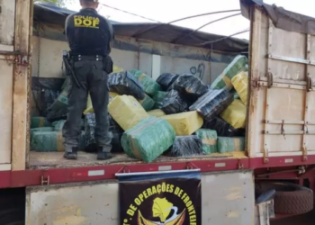Condutor de carreta bitrem é preso transportando R$ 18 milhões em maconha no MS