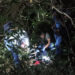 Jovem de 19 anos é encontrado morto em mata fechada ao lado de bicicleta em MS