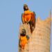 Passarinhando em Campo Grande: Cidade tem mais de 400 aves catalogadas