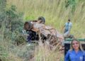 Engenheira agrônoma morre ao bater Uno de frente com S-10 na BR-463