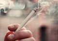 Especialistas fazem alerta sobre os danos causados pelo tabaco no Dia Nacional de Combate ao Fumo