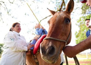 Parceria entre Senar/MS e Sindicatos Rurais oferece equoterapia de graça para população