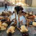 Cartografia dos Sentidos: projeto itinerante promove reflexão sobre comunidade, território e pertencimento