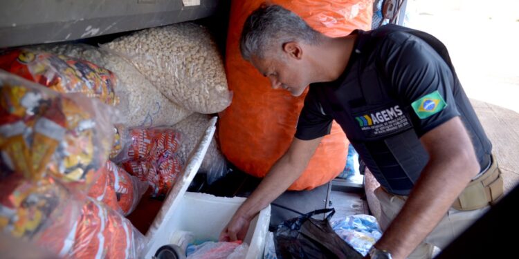 Três ônibus de viagem clandestinos são interceptados com 97 pessoas em MS