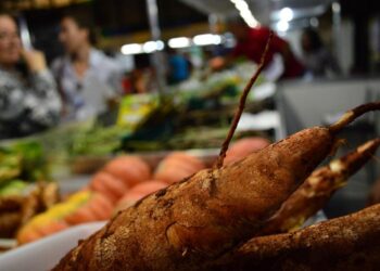 Mais de 85% dos produtos comercializados na Ceasa/MS são importados