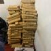 Em andamento: Dracco neste momento fazendo grande apreensão de drogas no Jardim Bonança