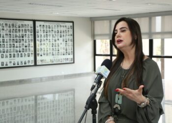 Deputada Mara Caseiro propõe o dia 12 de agosto como o “Dia Estadual do Arte Educador”