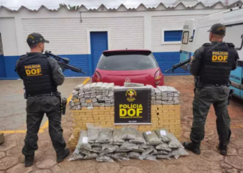 Jovem é interceptado pelo DOF com mais de meio milhão em maconha e skunk na MS-156