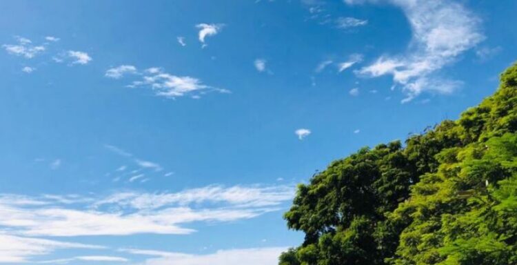 Previsão para o Aniversário de Campo Grande é de máxima de 31ºC na Capital