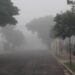 Frente fria derruba temperatura nesta quinta-feira em MS