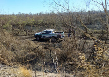 Proprietários de fazenda são multados em R$ 1,1 milhão por provocarem incêndio florestal