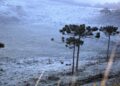 Queda da temperatura e falta de chuva marcam segunda-feira em MS