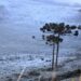 Queda da temperatura e falta de chuva marcam segunda-feira em MS