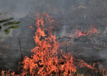 Campanha “Queimadas, Apague Essa Ideia!” intensifica ações de prevenção e combate aos incêndios urbanos