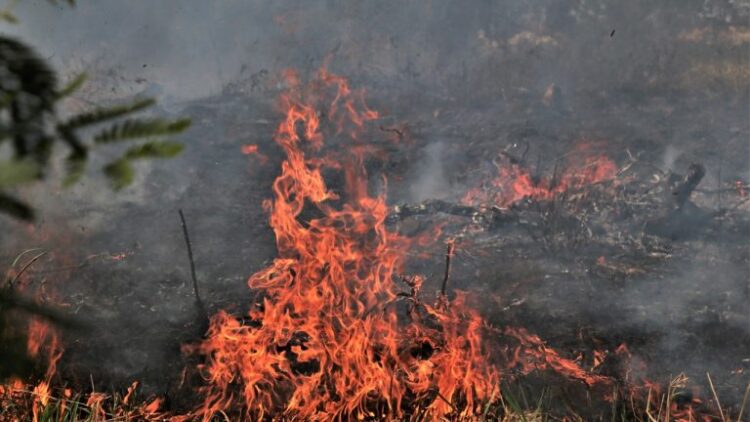 Campanha “Queimadas, Apague Essa Ideia!” intensifica ações de prevenção e combate aos incêndios urbanos