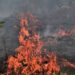 Campanha “Queimadas, Apague Essa Ideia!” intensifica ações de prevenção e combate aos incêndios urbanos