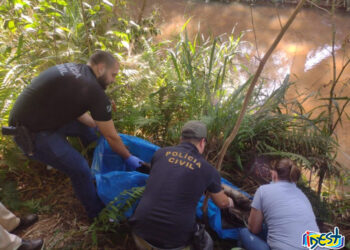 Corpo em avançado estado de decomposição é encontrado debaixo de ponte no interior