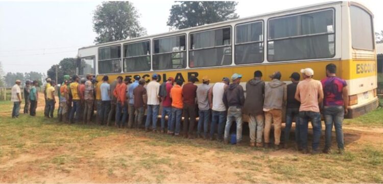 Após flagrante de trabalho escravo, 44 resgatados são indenizados em Iguatemi