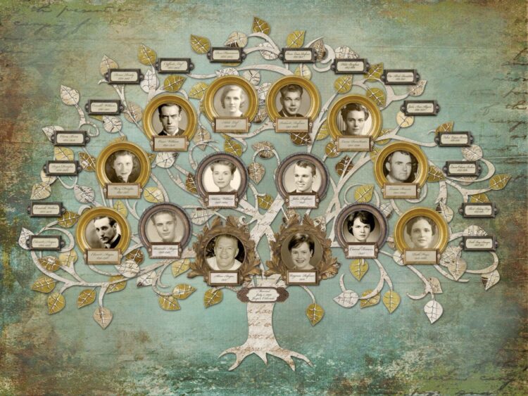 Curso gratuito de genealogia acontece neste sábado em Campo Grande