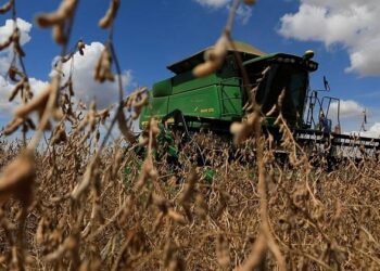 Início da Safra da Soja 22/23: entenda os impactos da produção de grãos em MS