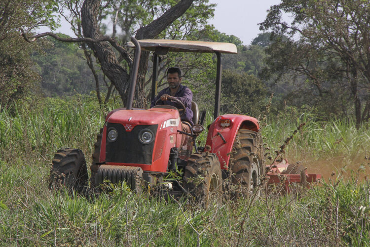 Maquinários e apoio do Governo ajudam homem do campo a melhorar a produção