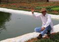 Produtor rural de Sidrolândia investe em produção integrada de peixes e hortaliças